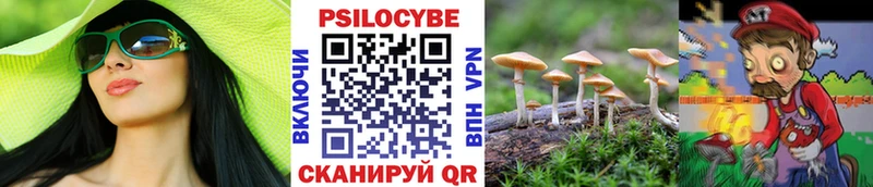 гидра как зайти Буйнакск Псилоцибиновые грибы Magic Shrooms